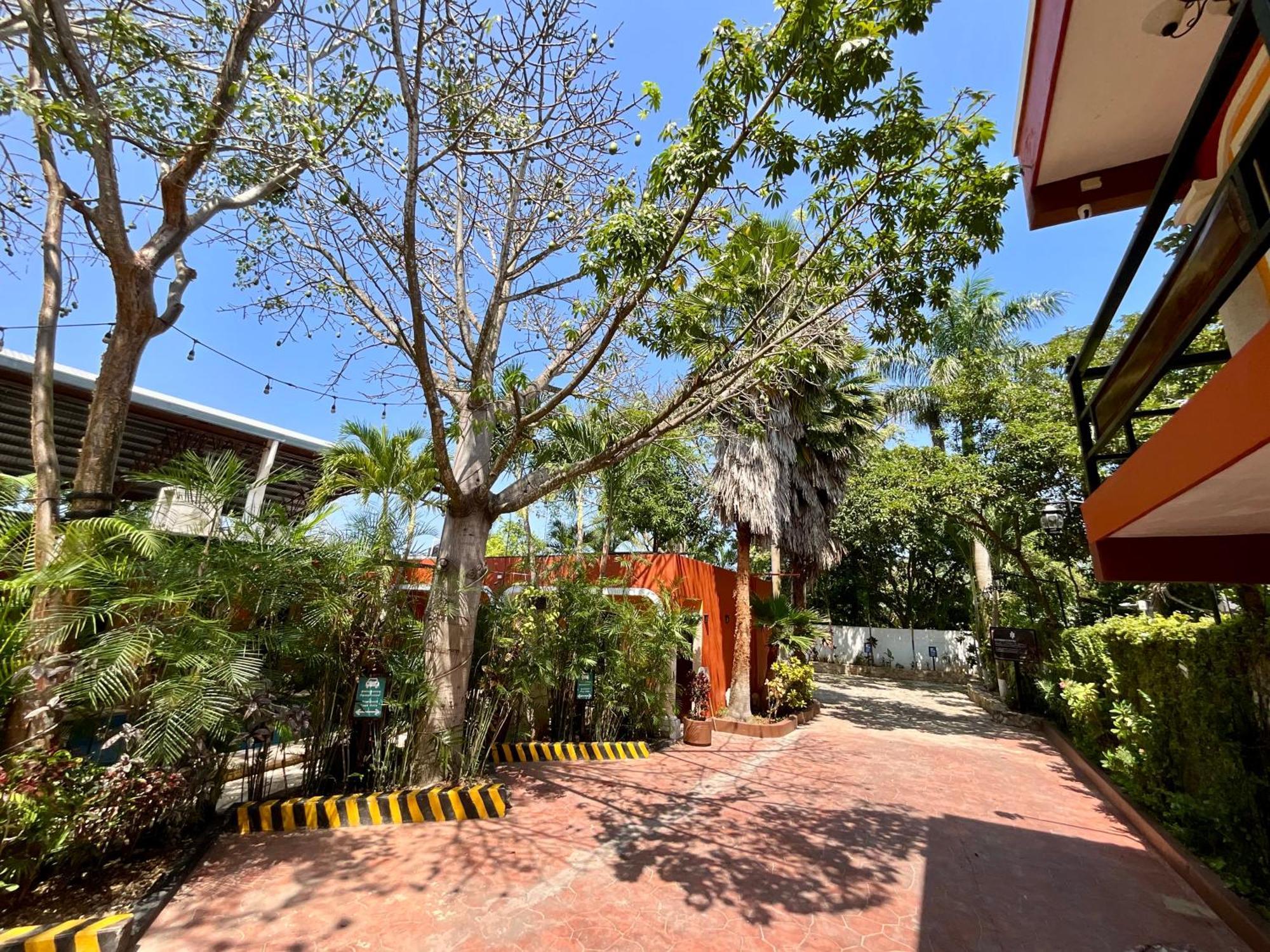 ואיאדוליד El Zaguan Colonial By Guruhotel מראה חיצוני תמונה