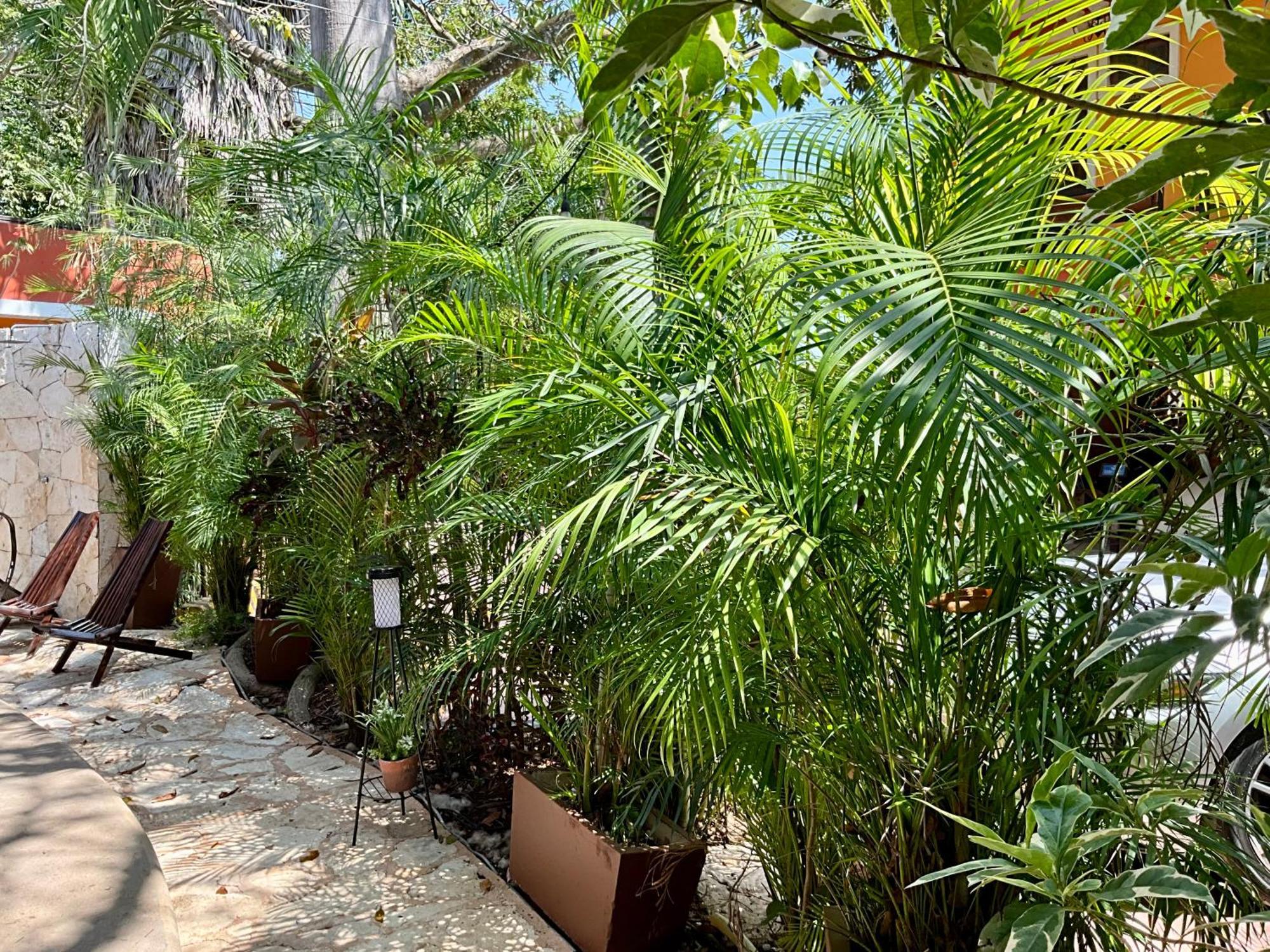 ואיאדוליד El Zaguan Colonial By Guruhotel מראה חיצוני תמונה